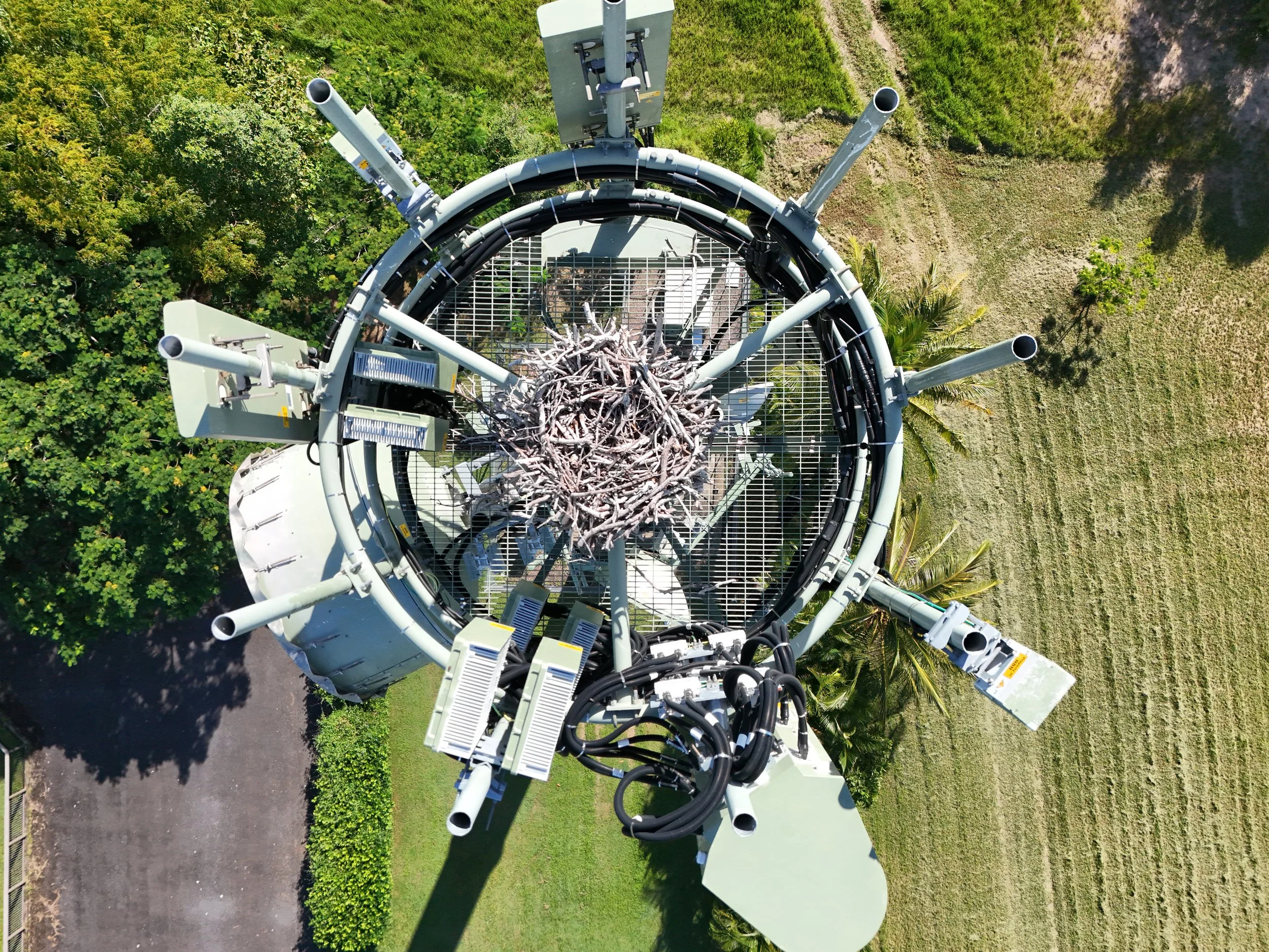 Top-down view of a cell tower with various antennas and equipment, surrounded by greenery and trees.