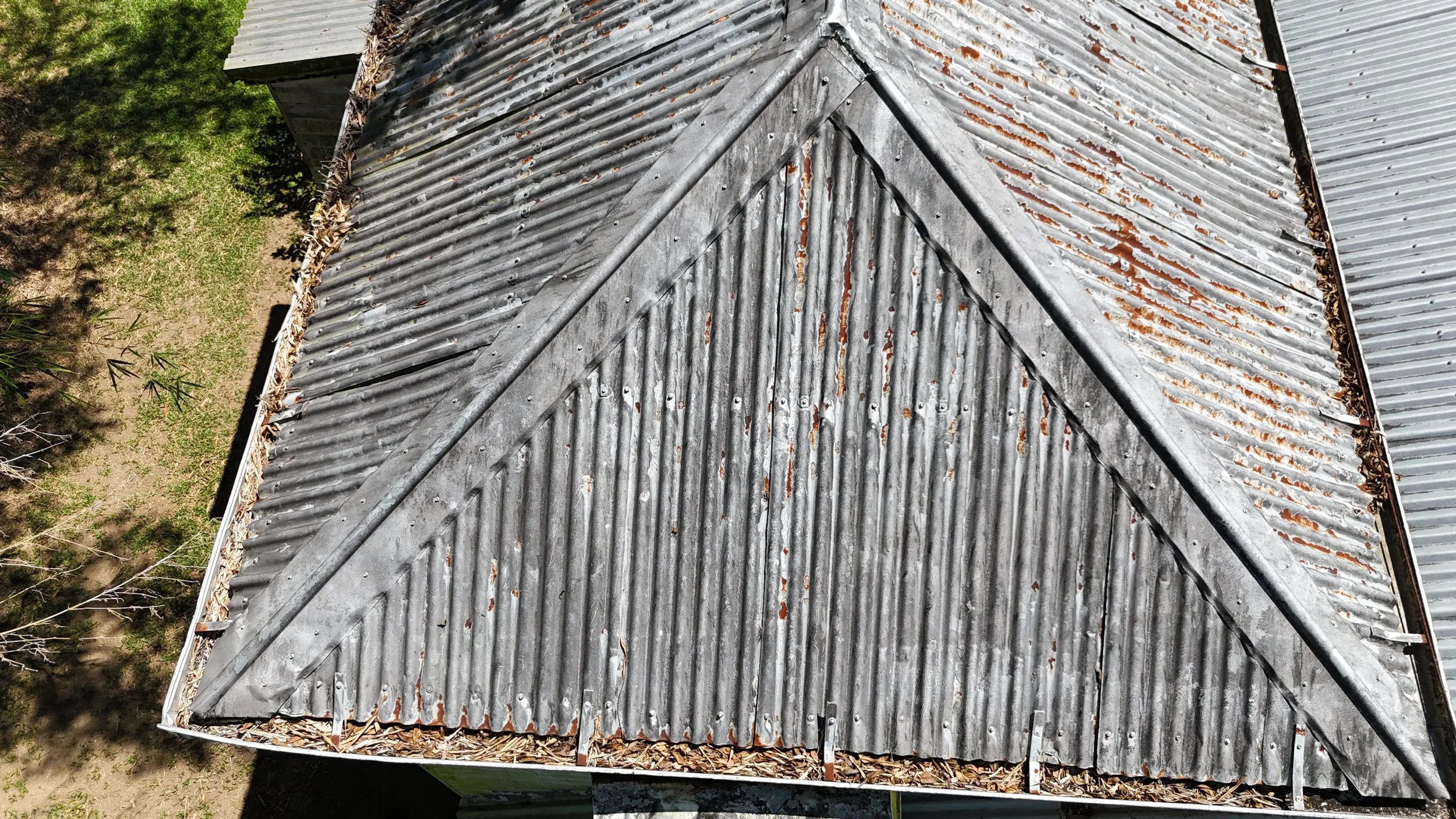 A weathered metal roof with rust spots and dried leaves along the edges, viewed from above, with green trees nearby.