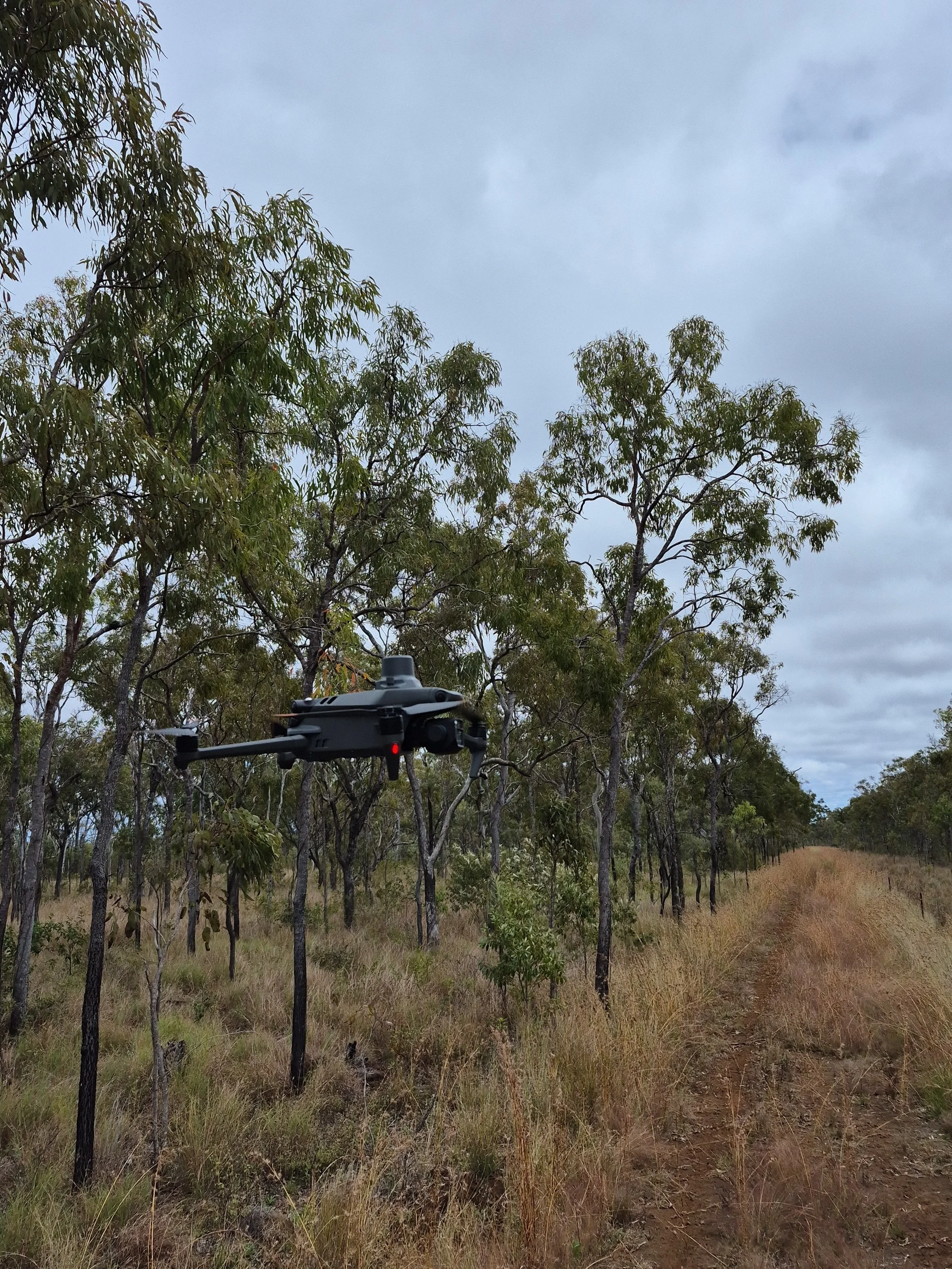 A drone flying in a forested area with trees and a dirt path on a cloudy day.