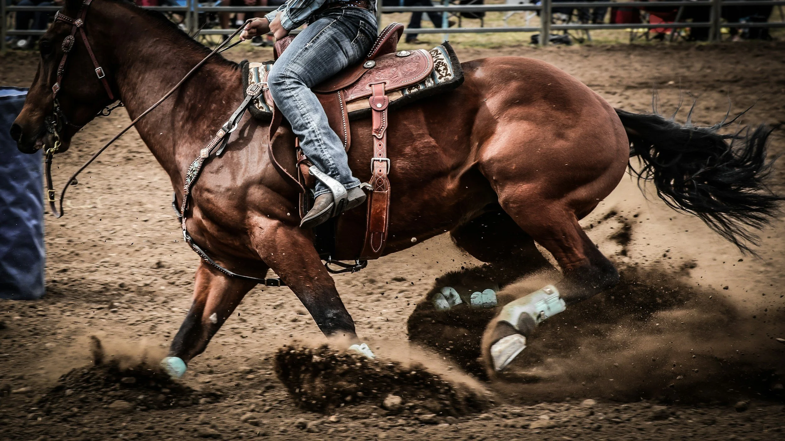 Hawkes Bay Rodeo