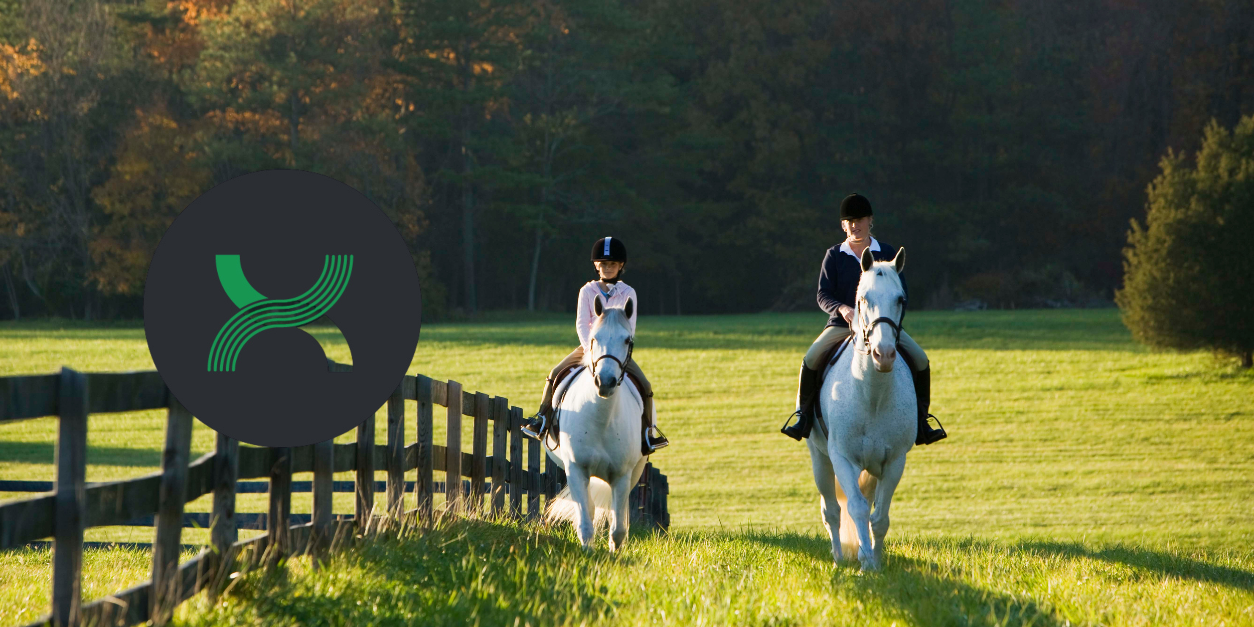 NZ Horse Show Council