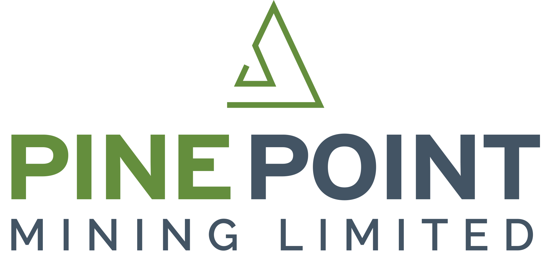 Pine Point Logo.png