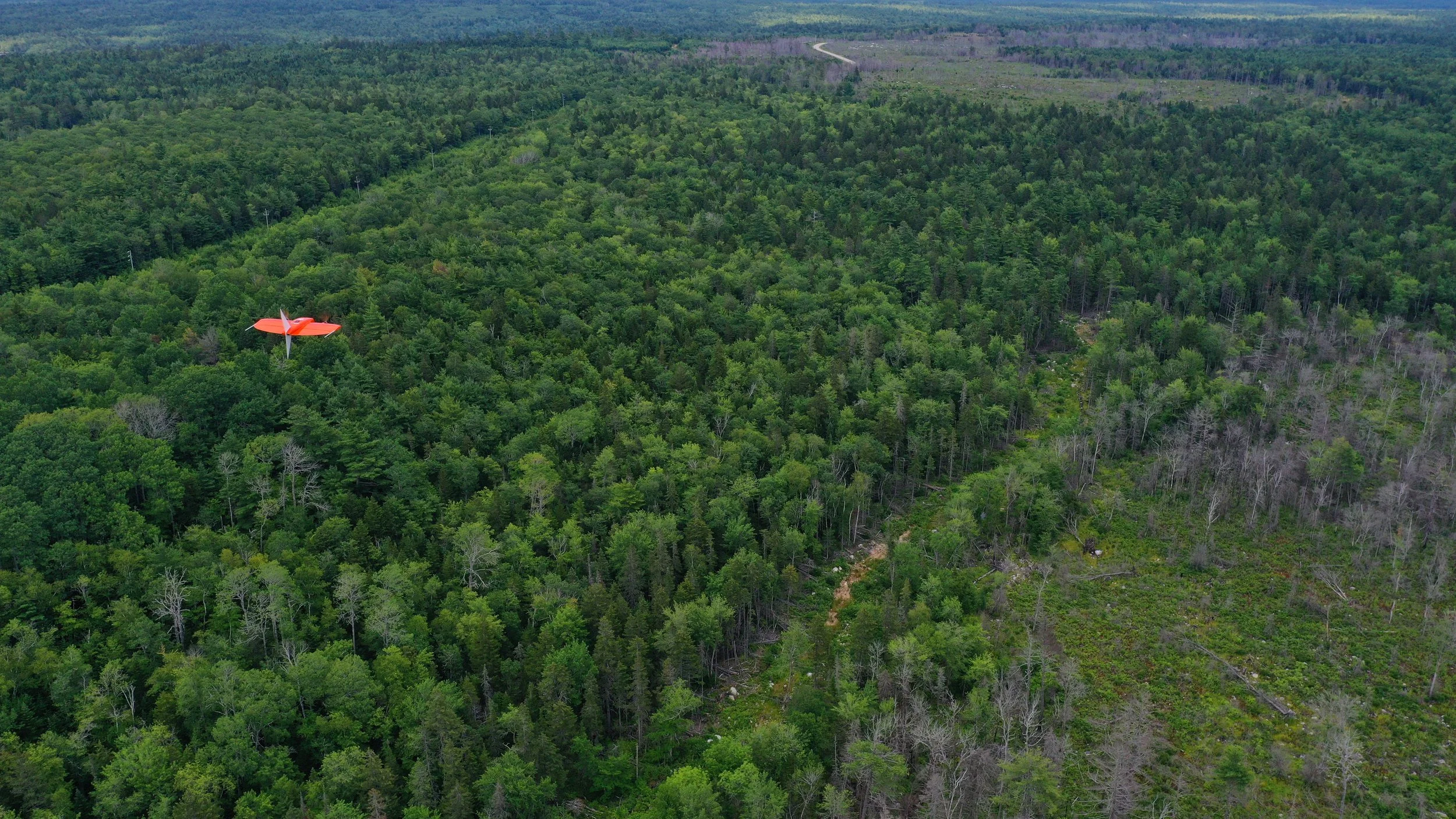 Drone above field 02.JPG