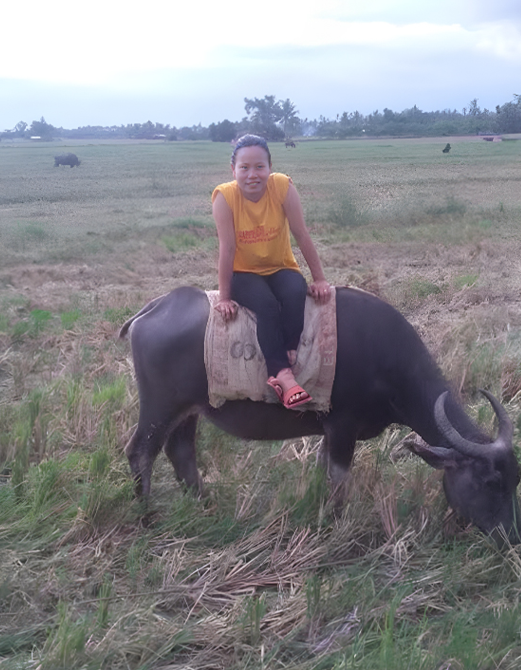A girl riding a buffalo in a grassy field, with other buffalo grazing in the background under a cloudy sky.