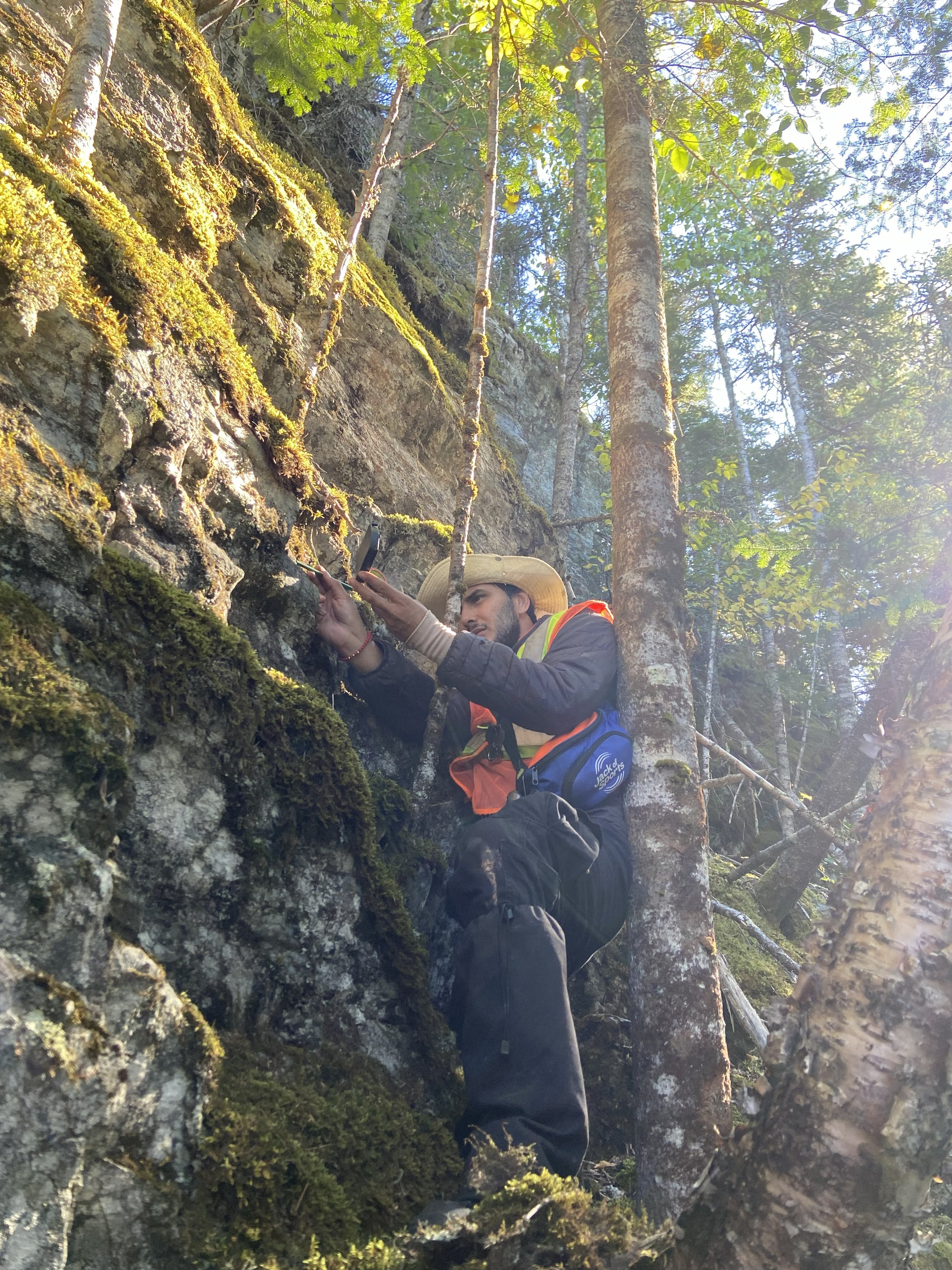 Roebucks Field - JC (10) copy.jpg