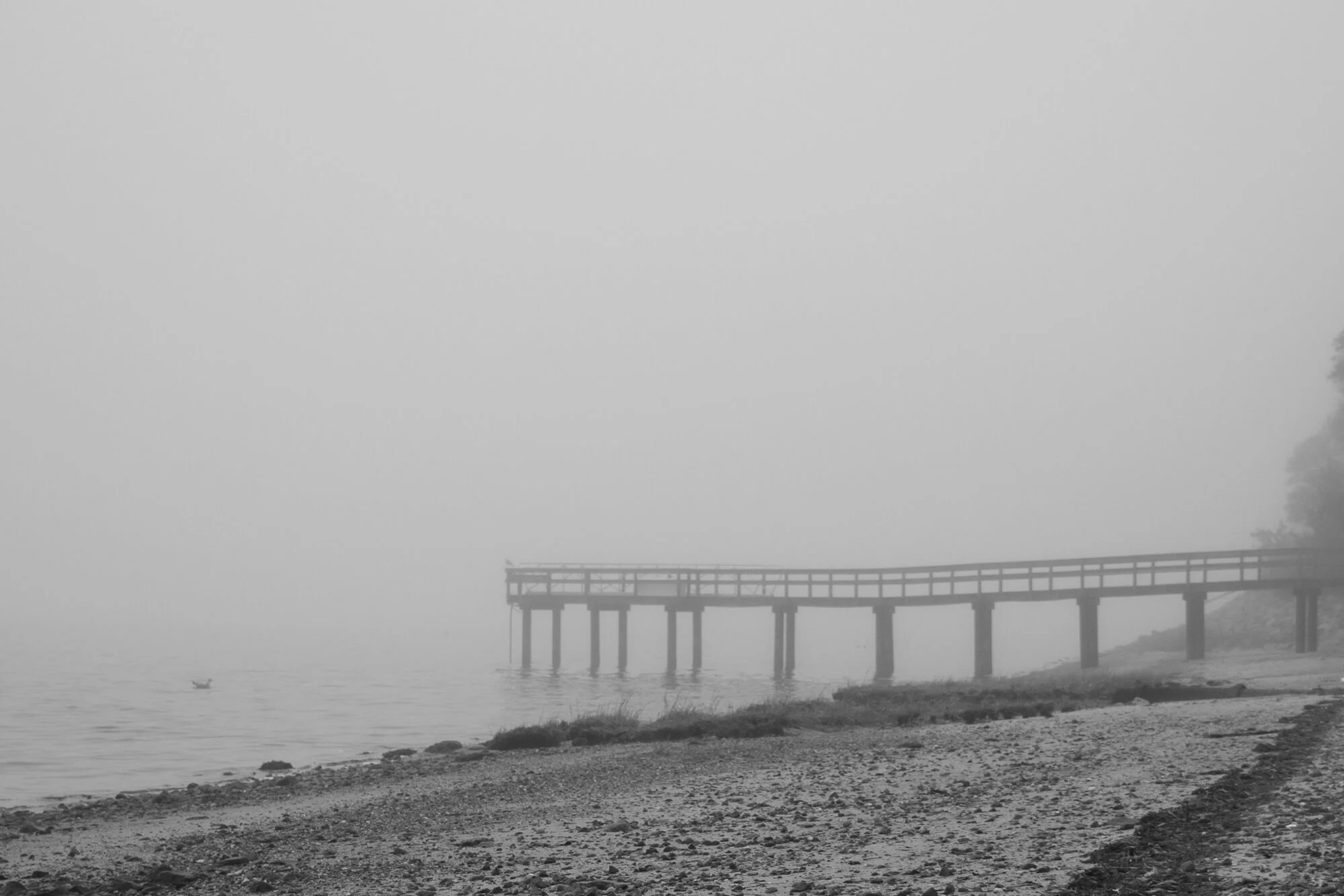 CapeNovemberFog-08.jpg