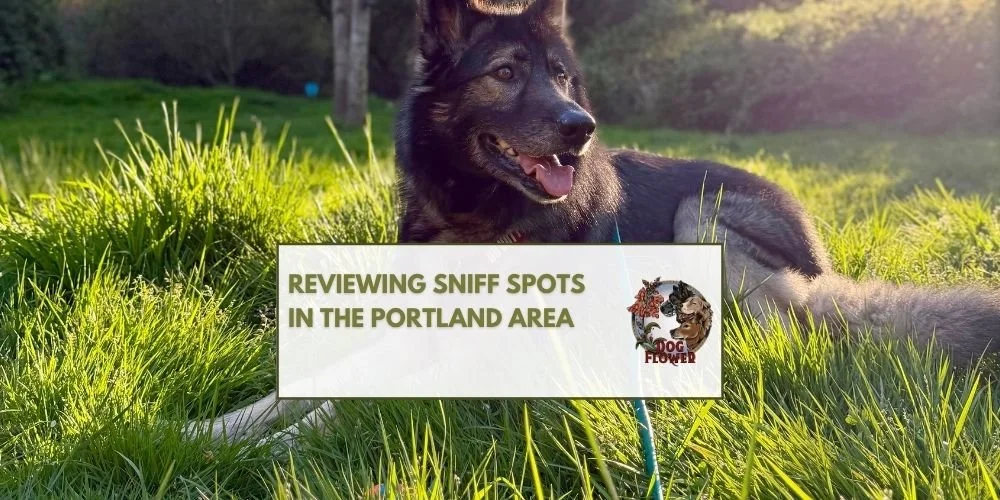 Best Sniff Spots Near Portland 