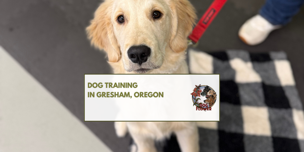 Dog Training in Gresham, Oregon