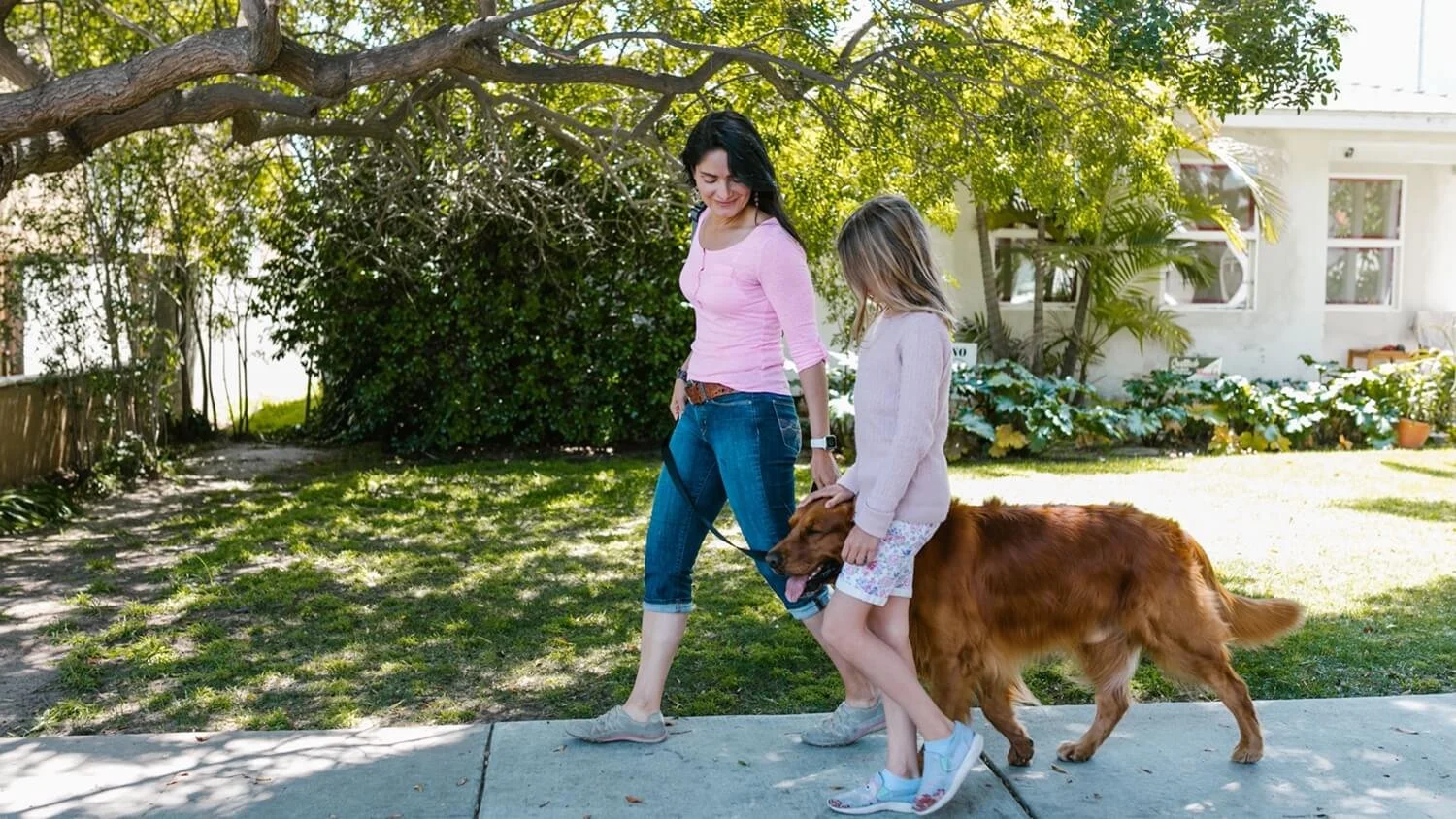 Living With a Leash-Reactive Dog | How to Turn Stressful Walks Around