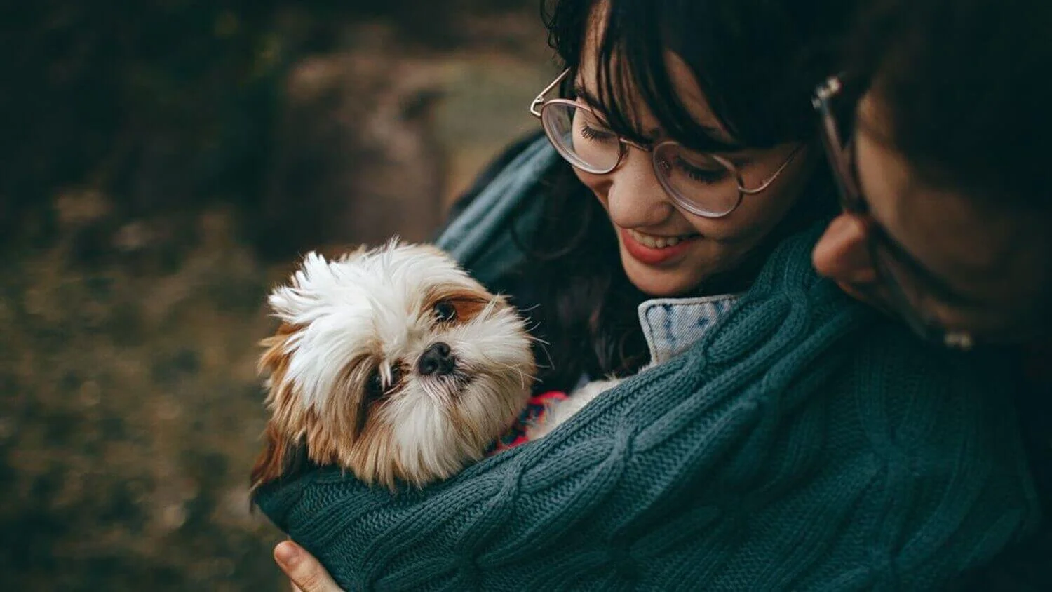 Puppy Socialization Is Not What Most People Think