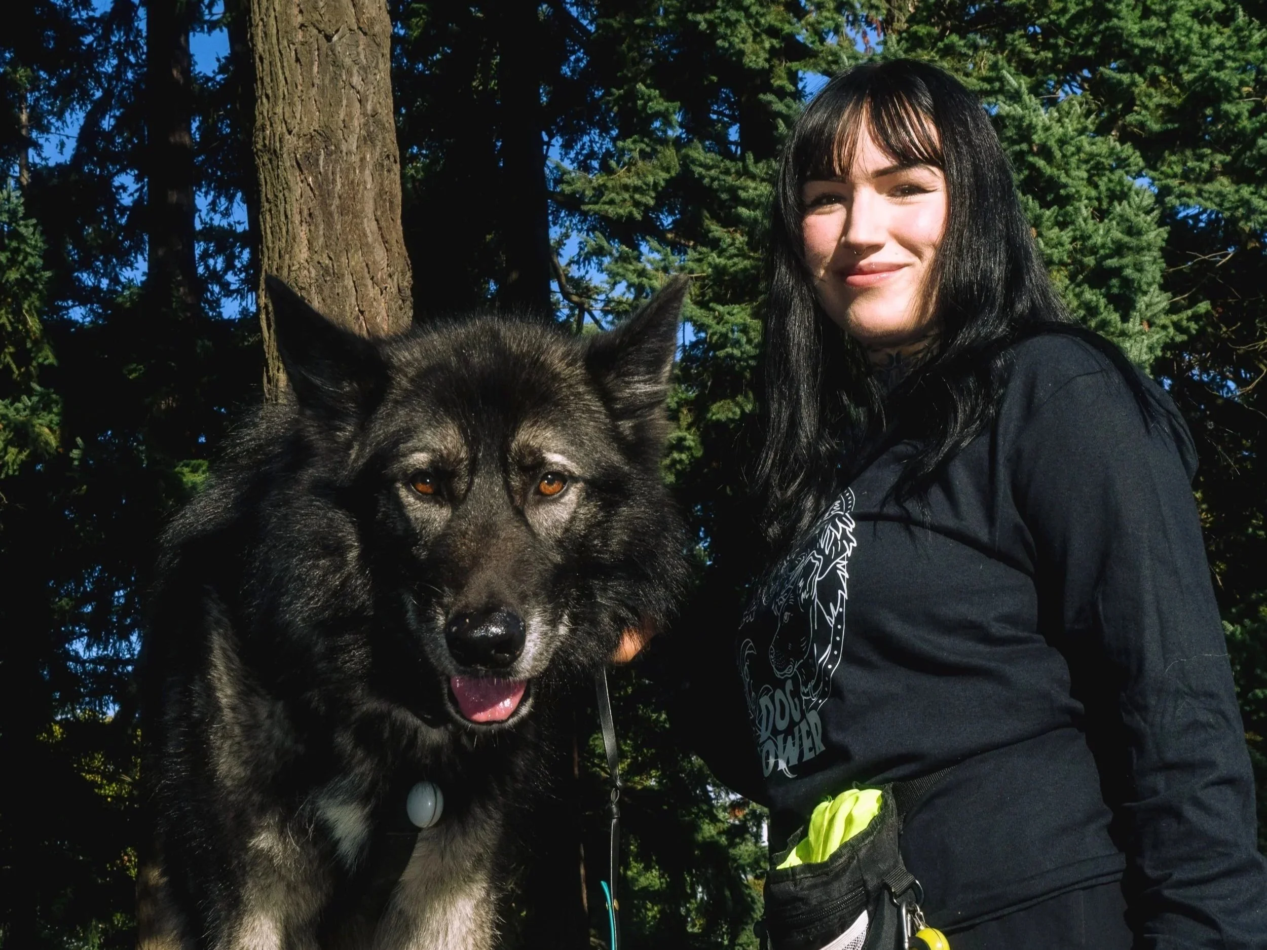 Reactive dog training session outdoors with a trainer and a large dog in a natural setting