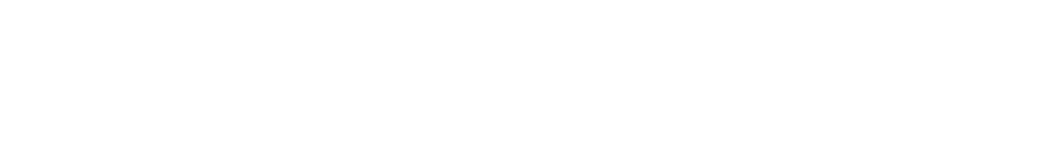 White graphic with bold text that reads "Building Nelson's Future."