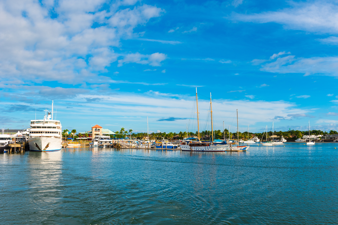 A marina with boats and yachts docked on calm water, under a bright blue sky with scattered clouds, and a waterfront area with buildings and palm trees in the background.