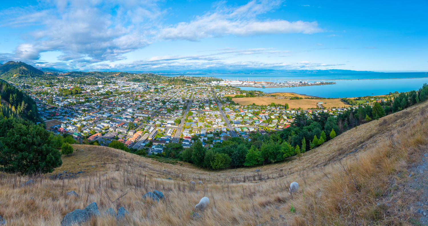 A panoramic view of Nelson city from a hillside, featuring residential neighborhoods, a harbor with ships, and mountains in the background.
