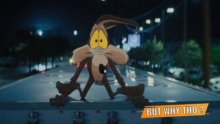 Coyote vs Acme Review: It Finds Poignancy in Mayhem