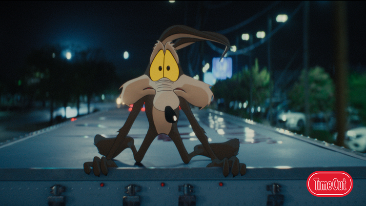 Coyote vs. Acme review: This berserk comedy is like swallowing a sausage-string of TNT