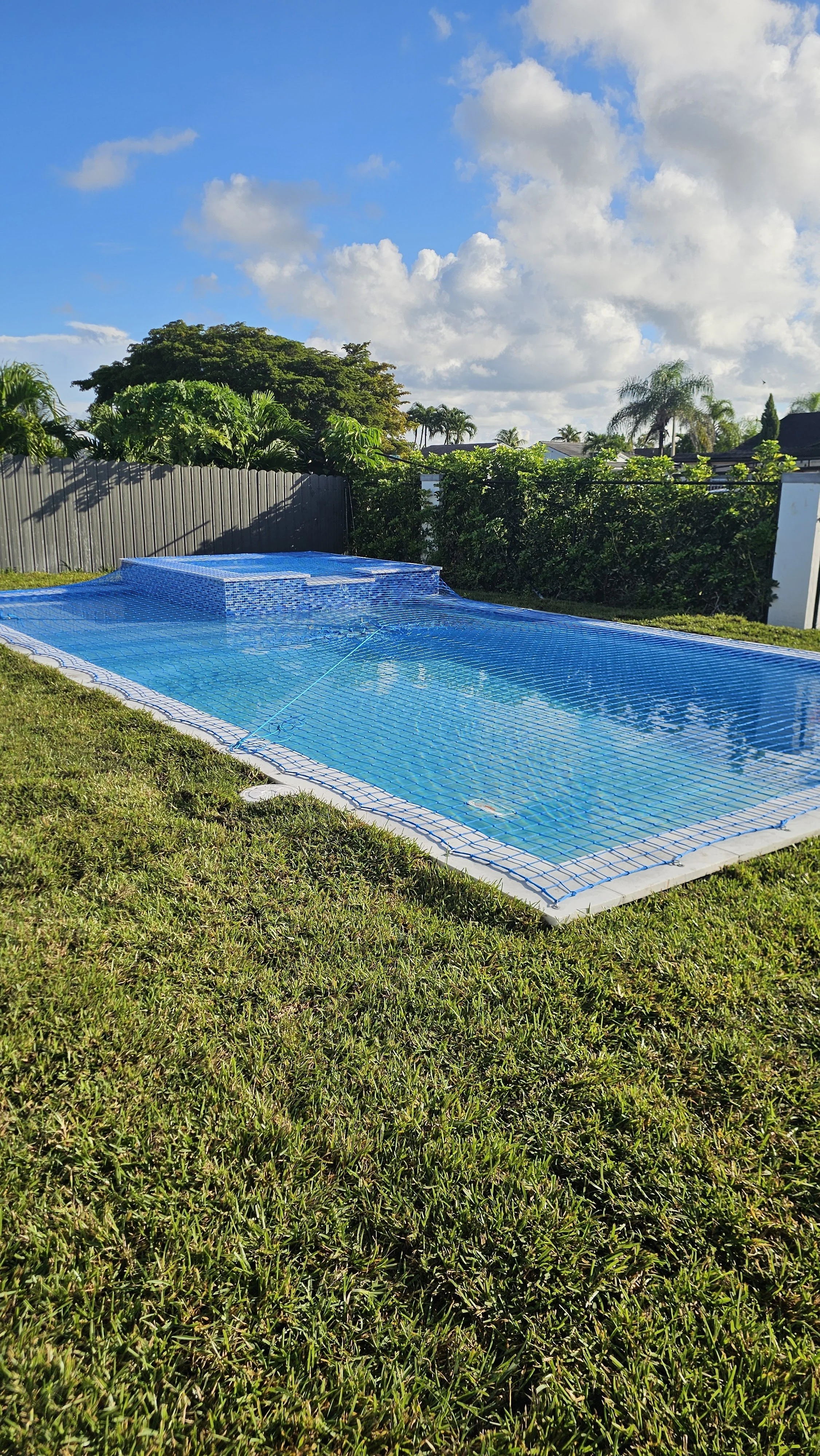 A swimming pool covered with a safety net in a backyard with green grass, trees, and a partly cloudy blue sky.