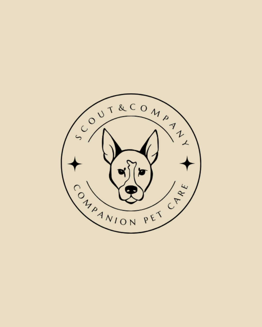 Healthy Habits for Pets in the New Year