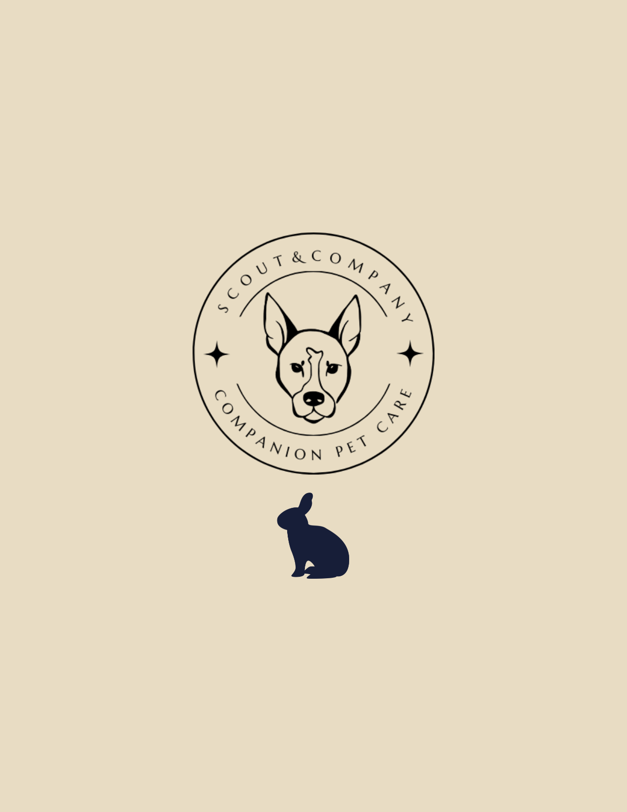 Small Pets, Big Care: What Many People Don’t Realize About Rabbits