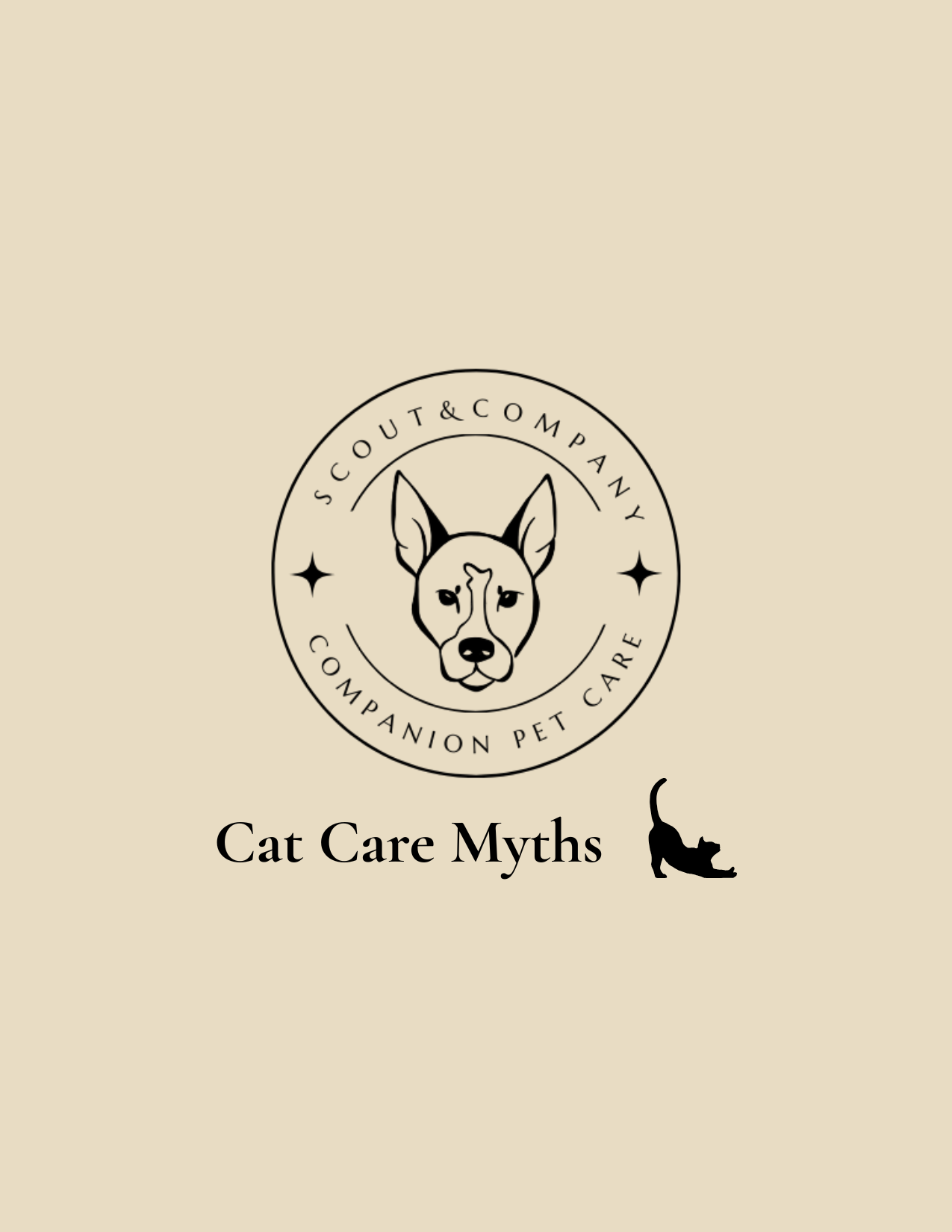 Common Cat Care Myths (and What Actually Matters)