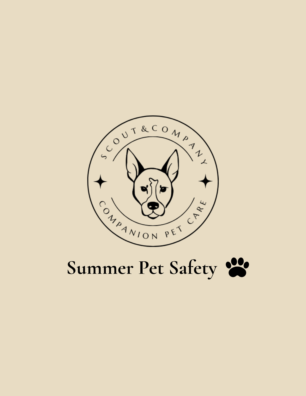 Summer Pet Safety in New Orleans: Heat, Pavement, and Overheating