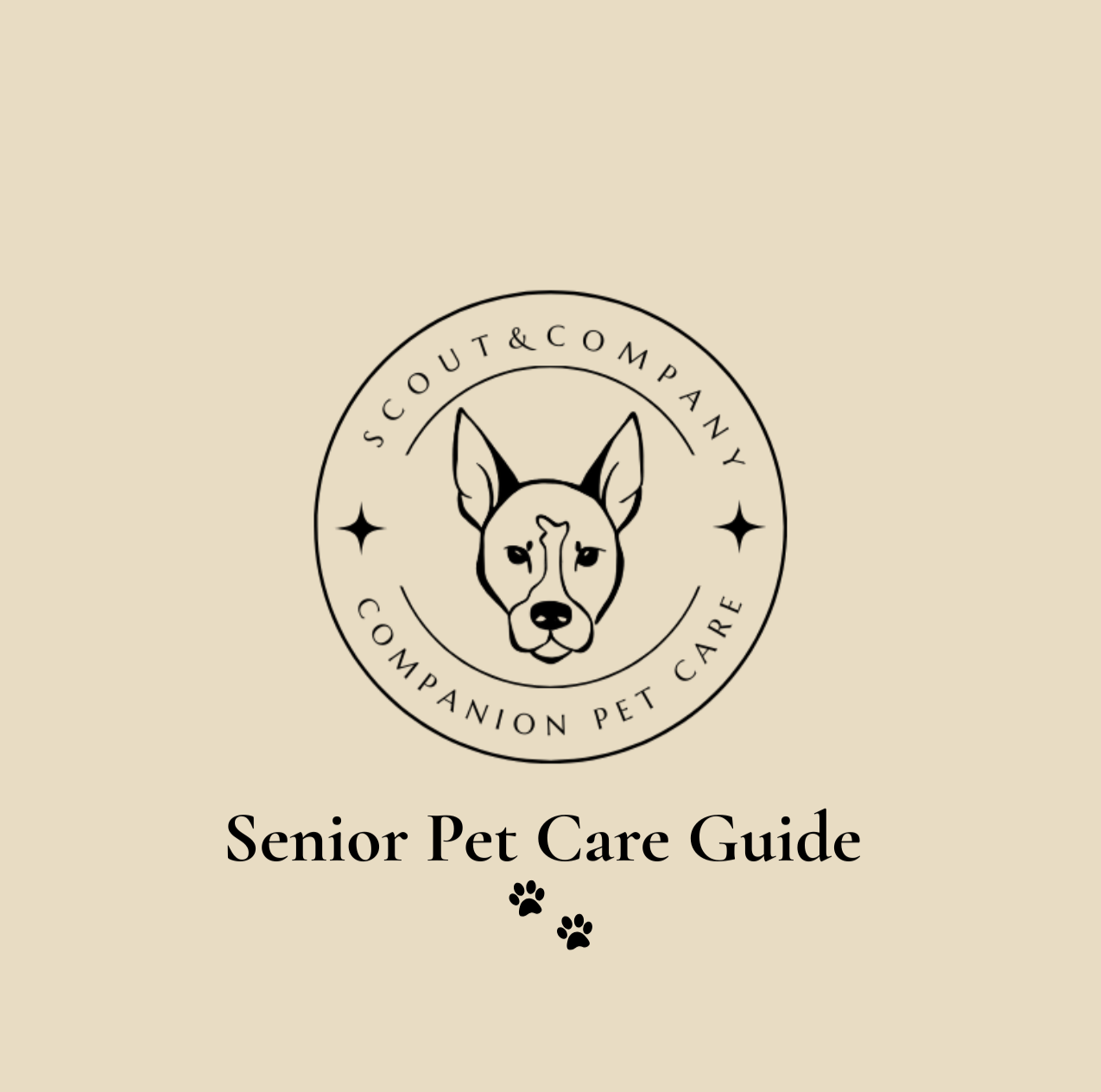 Caring for a Senior Pet: A Compassionate and Practical Guide