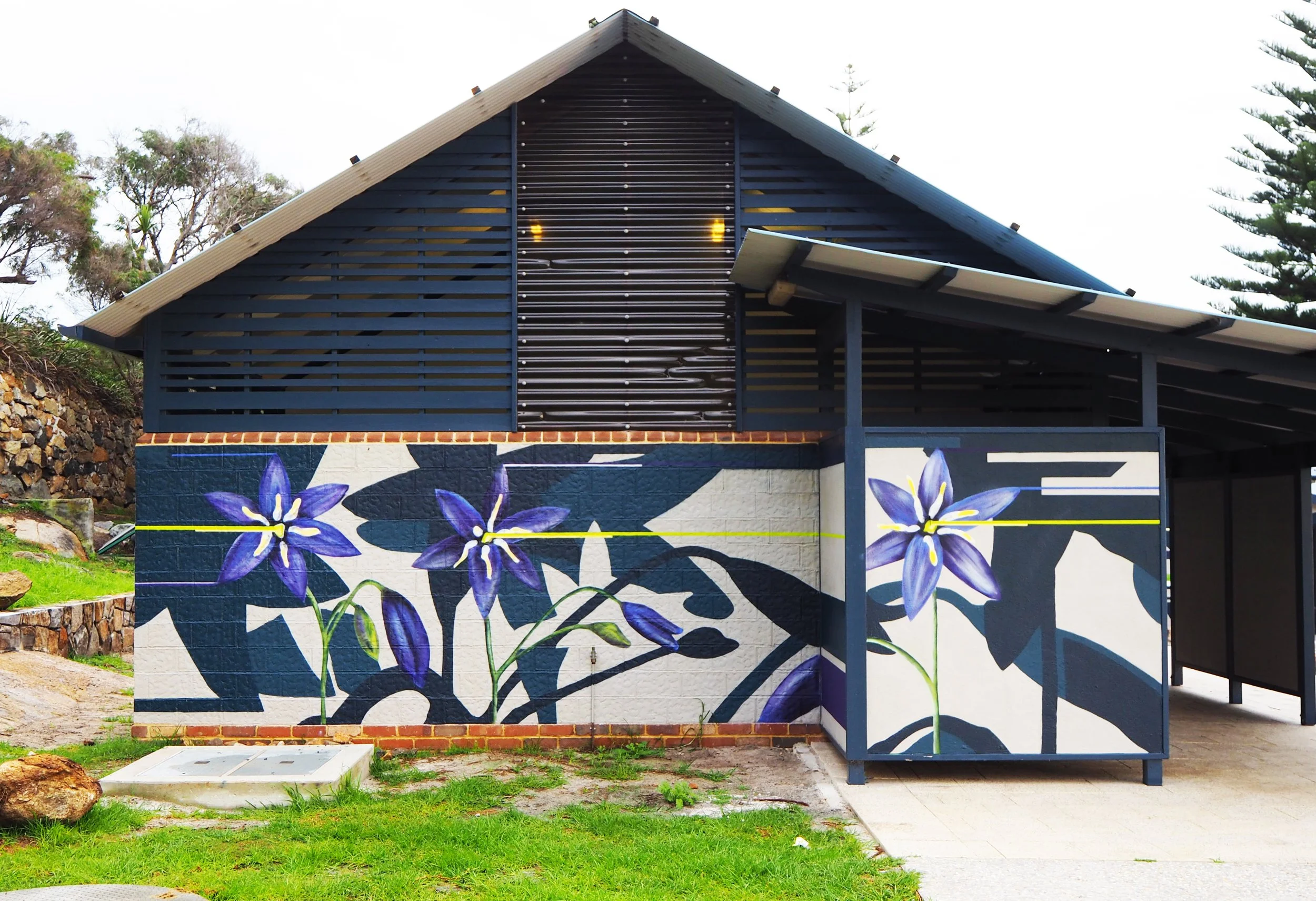 Stypandra glauca.JPG