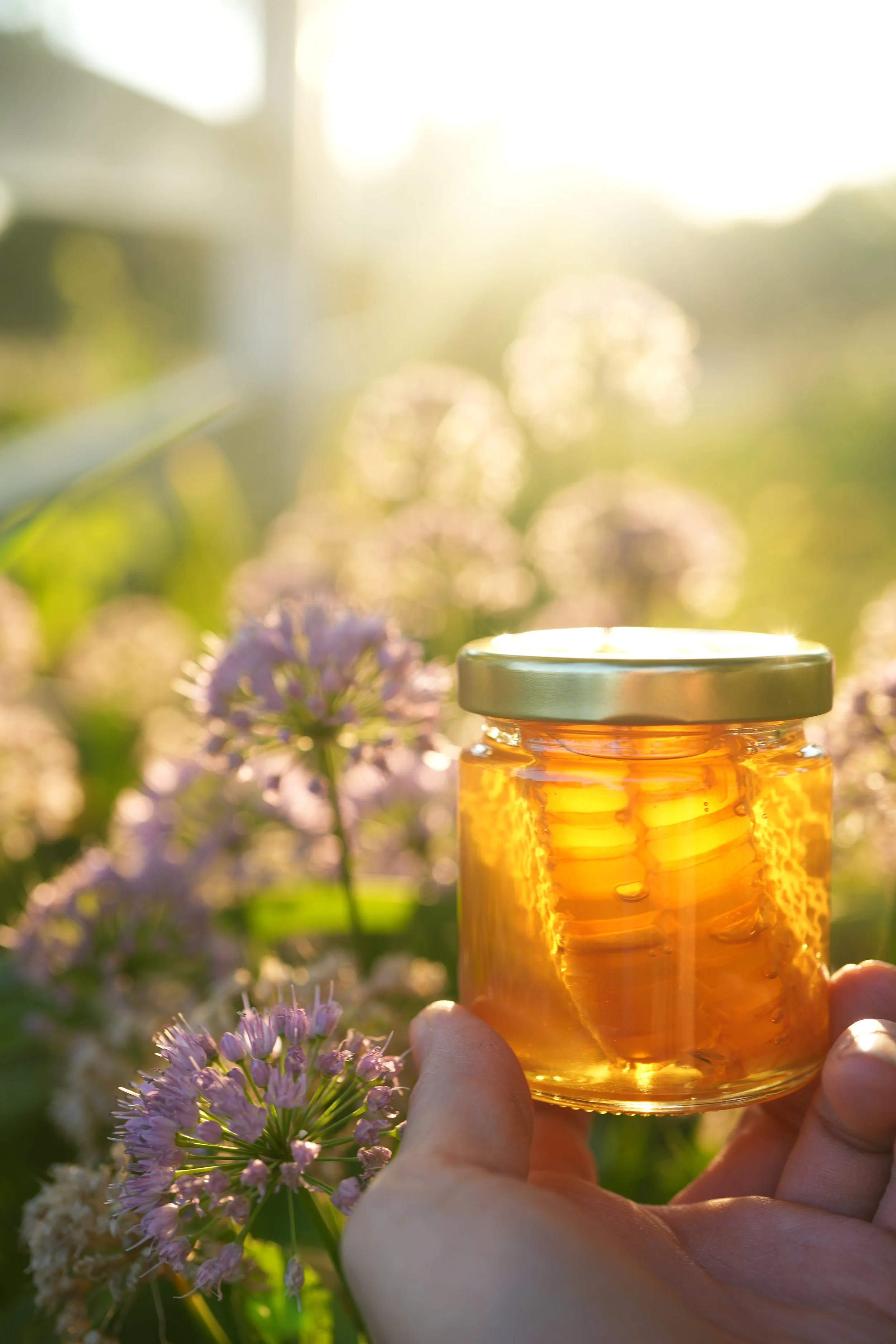 Chunk Honey - the hive in a jar