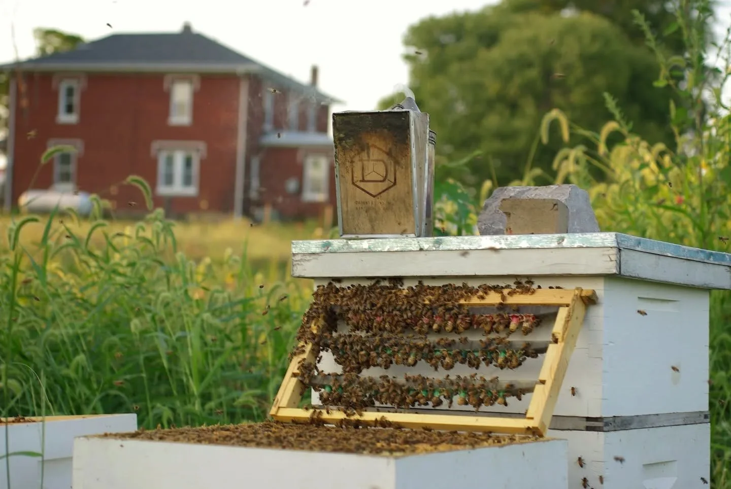 ✨Opinions needed ✨

We're expanding our beekeeping operation and are wanting to offer a bit more than just honey. We have some ideas of what we'd like to sell, but thought it would be nice to get other opinions. Any thoughts?
🔸 pollen
🔸cut honey co