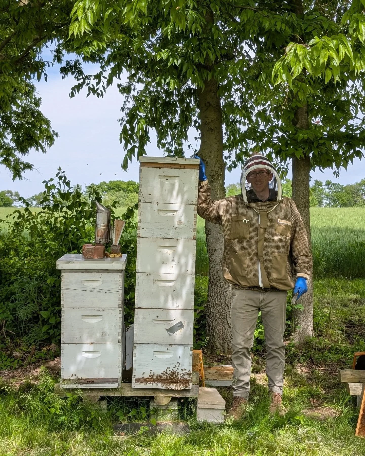 We've got some monster hives this year 💪🏼🐝💛
.
.
.
#bee #beek #bees #honeybee #beehive #beekeeping #beekeeper #savethebees #pollinator #pollinators #honeycomb #Illinois
