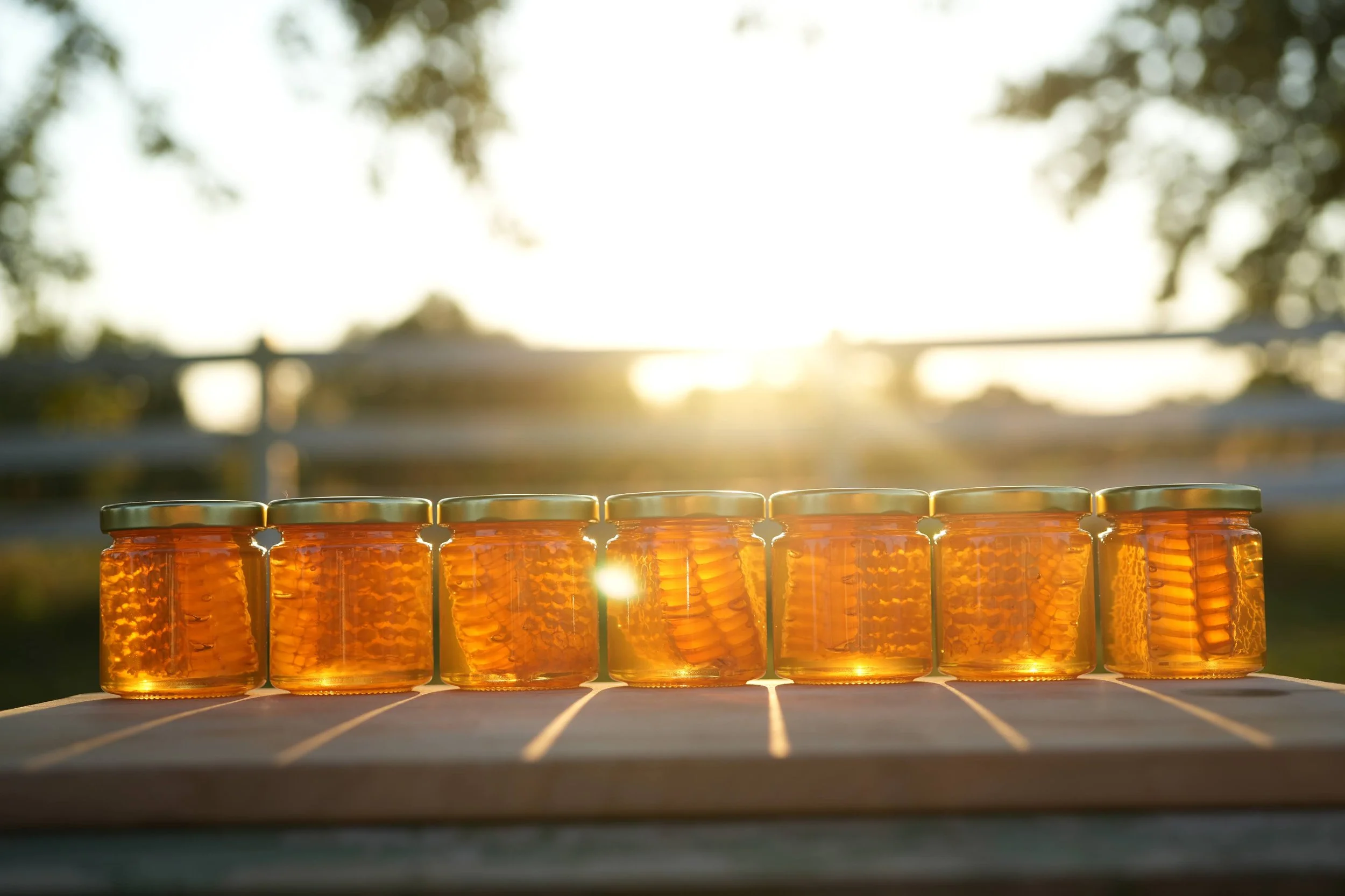 Chunk honey - the hive in a jar