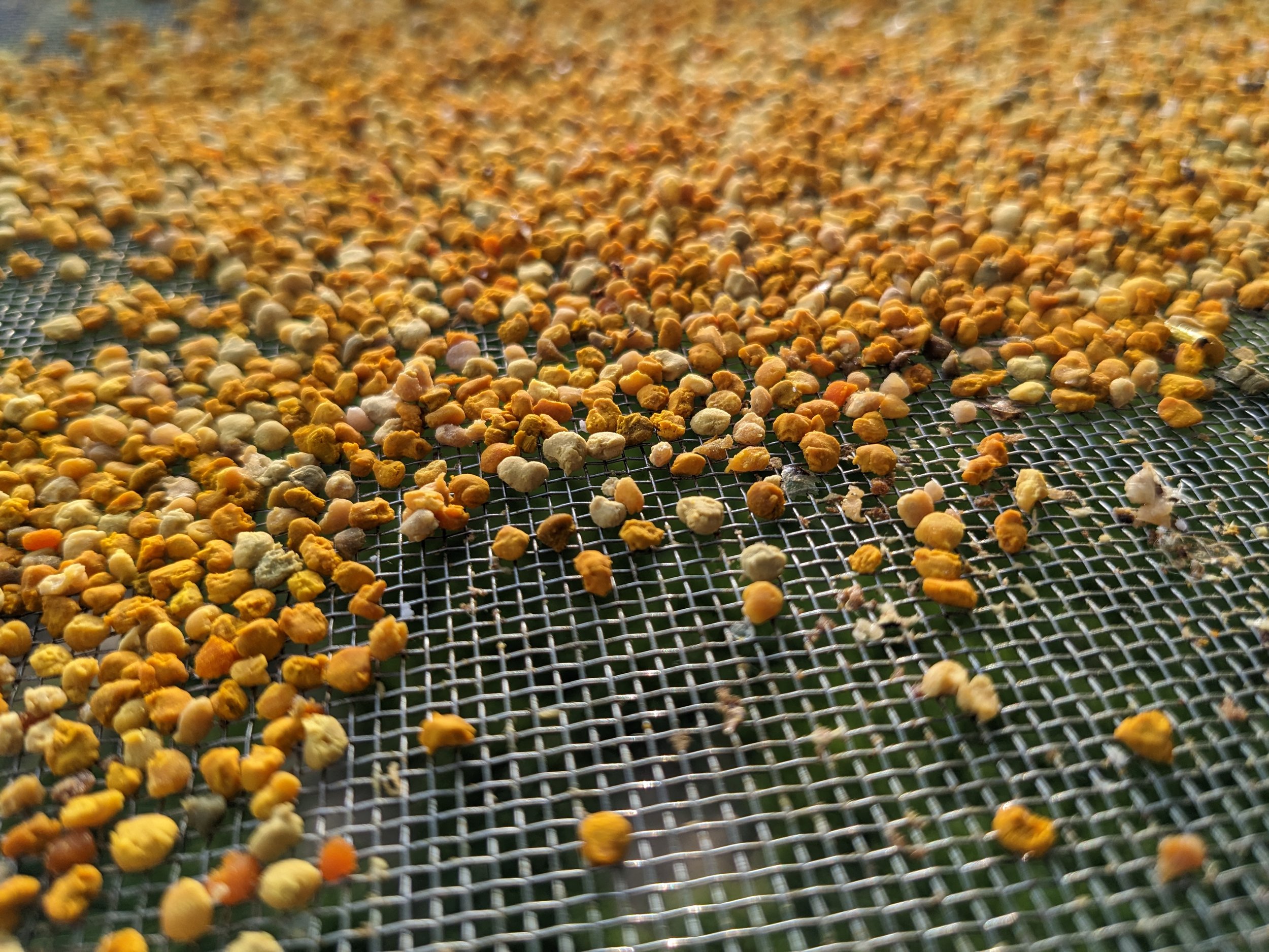 Pollen Granules - not currently available