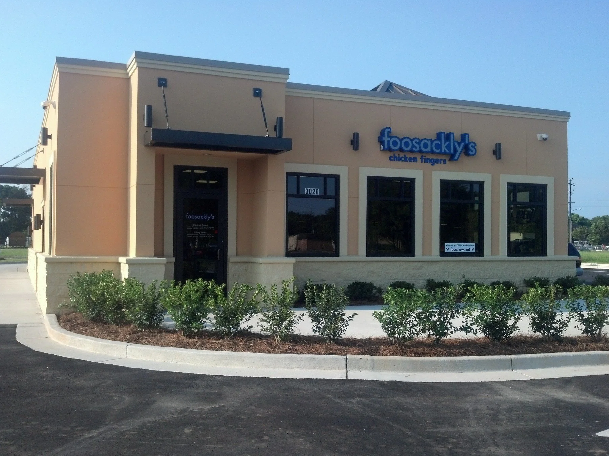 fast-food-tier-list-foosacklys-v0-1lh3bl464hg91.jpg