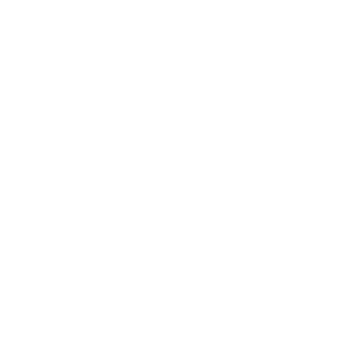 European Christmas Market