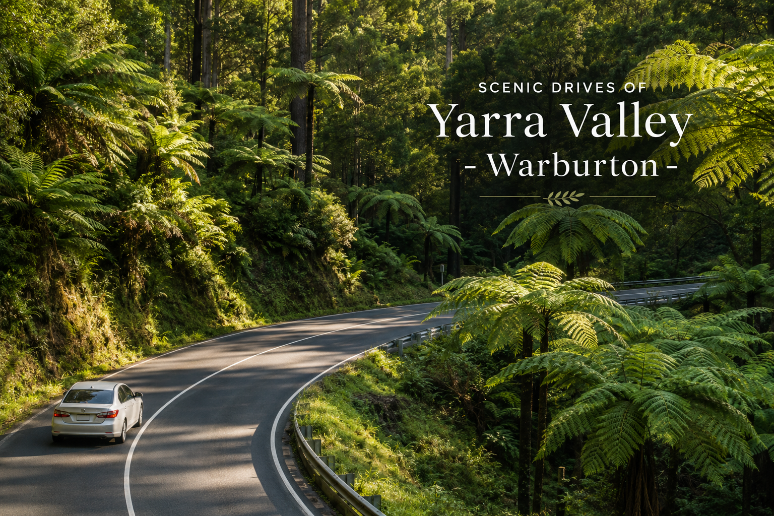 Scenic Drives on the Yarra Valley 