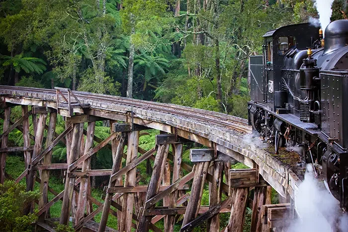 puffing-billy-belgrave.webp