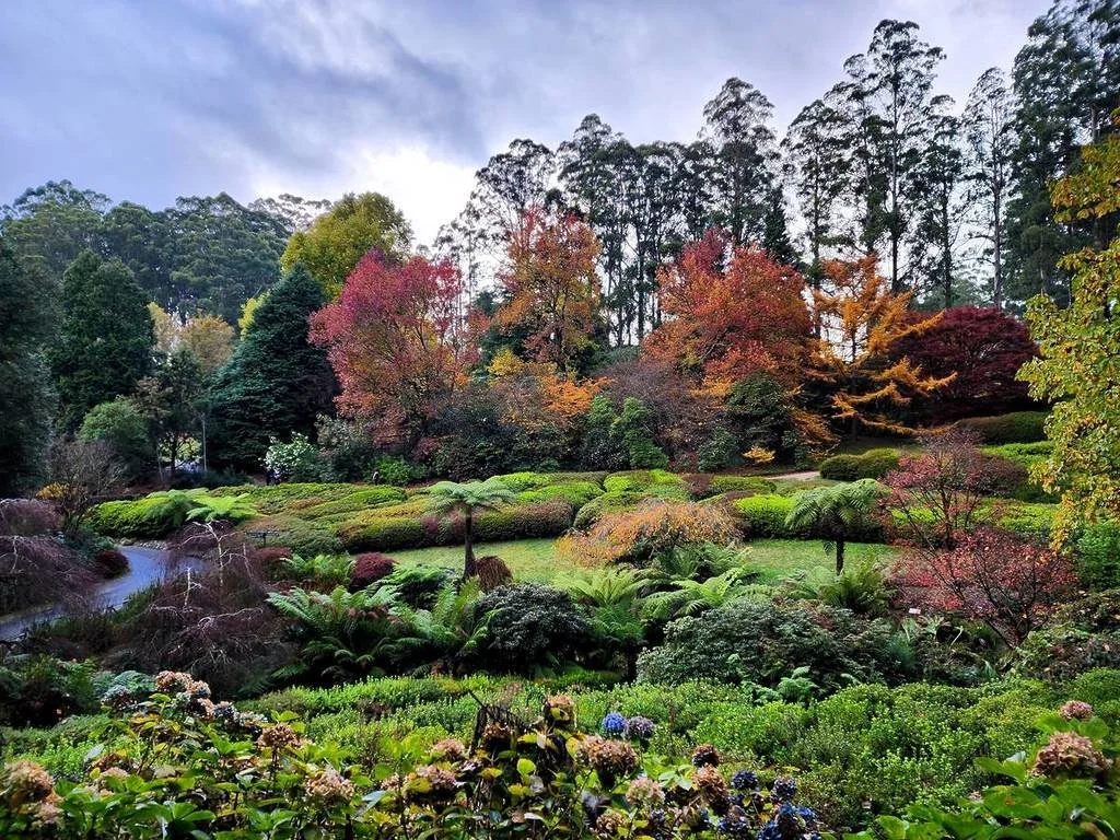 dandenong-ranges-botanic-garden-olinda-autumn-1024x768.jpg