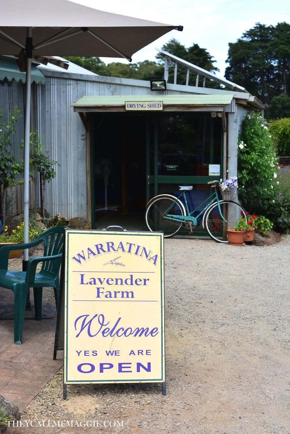 warratina-lavender-farm.jpg.webp
