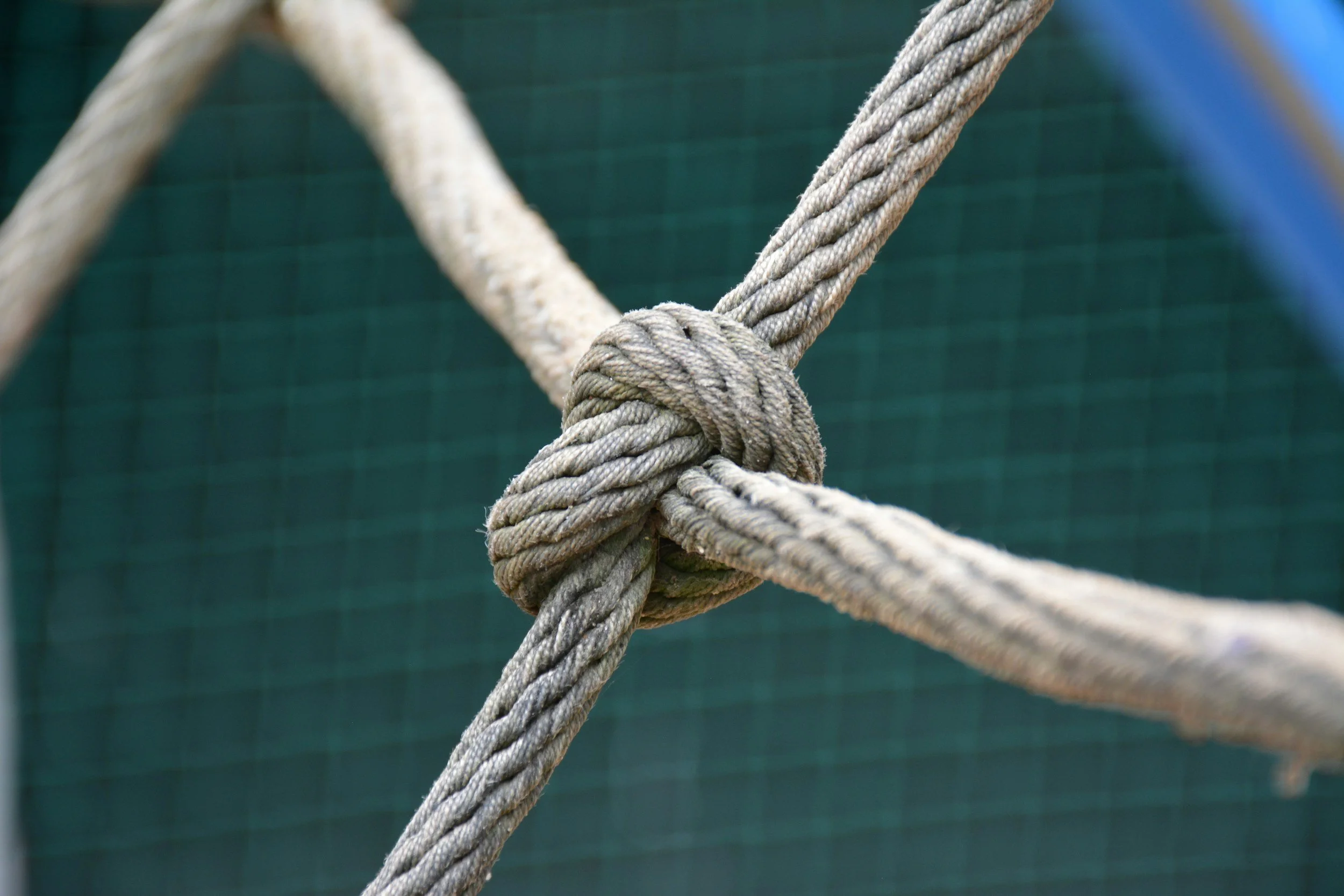 Close-up of a knotted rope with a green mesh background.
