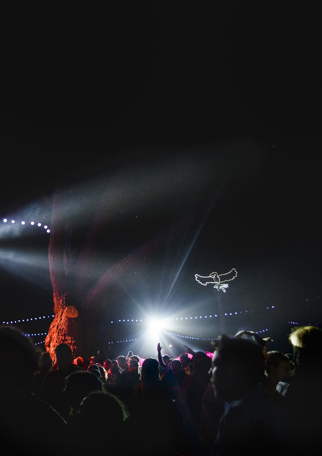 Night time party Golden Plains Photo Print at Meredith Supernatural Amphitheatre . Music festival Photography by Theresa Harrison