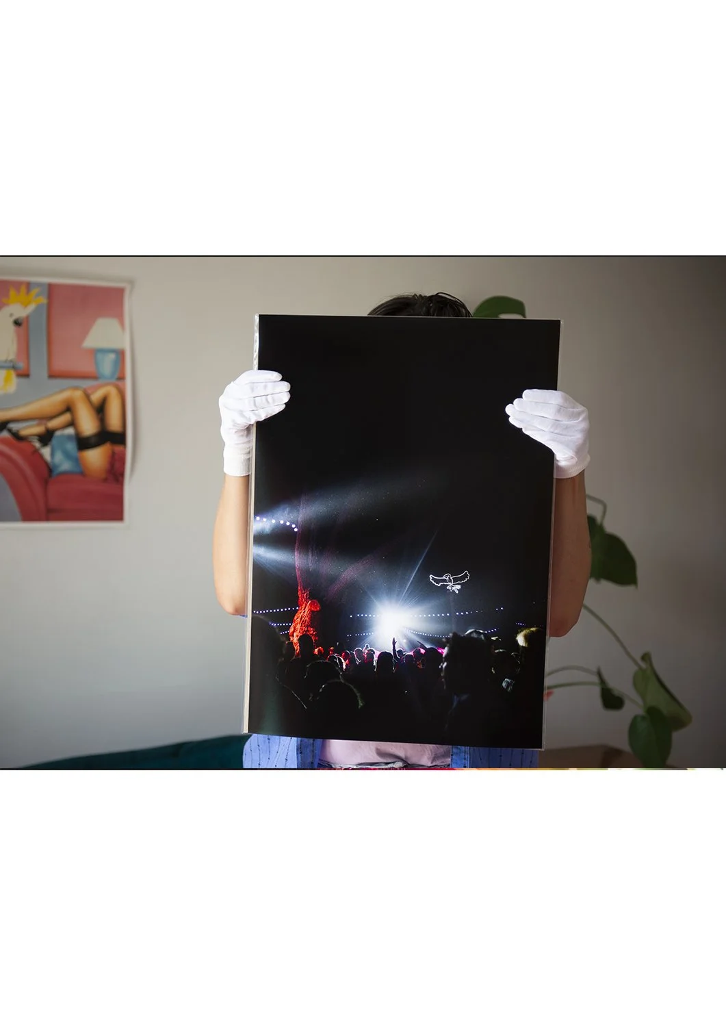 Night time party Golden Plains Photo Print at Meredith Supernatural Amphitheatre . Music festival Photography by Theresa Harrison