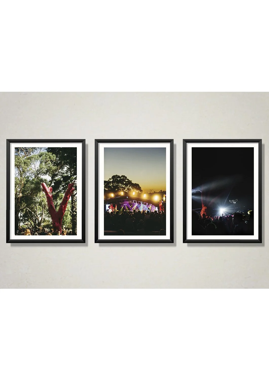 Framed photos of Golden Plains  at Meredith Supernatural Amphitheatre the Red Tree . Music festival Photography by Theresa Harrison