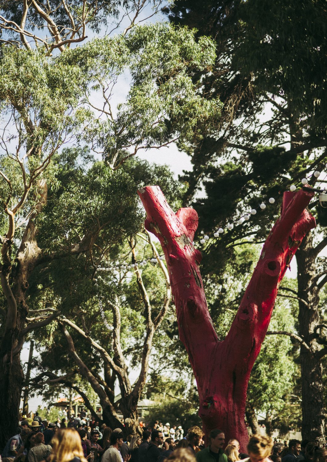 Red Tree - Golden Plains