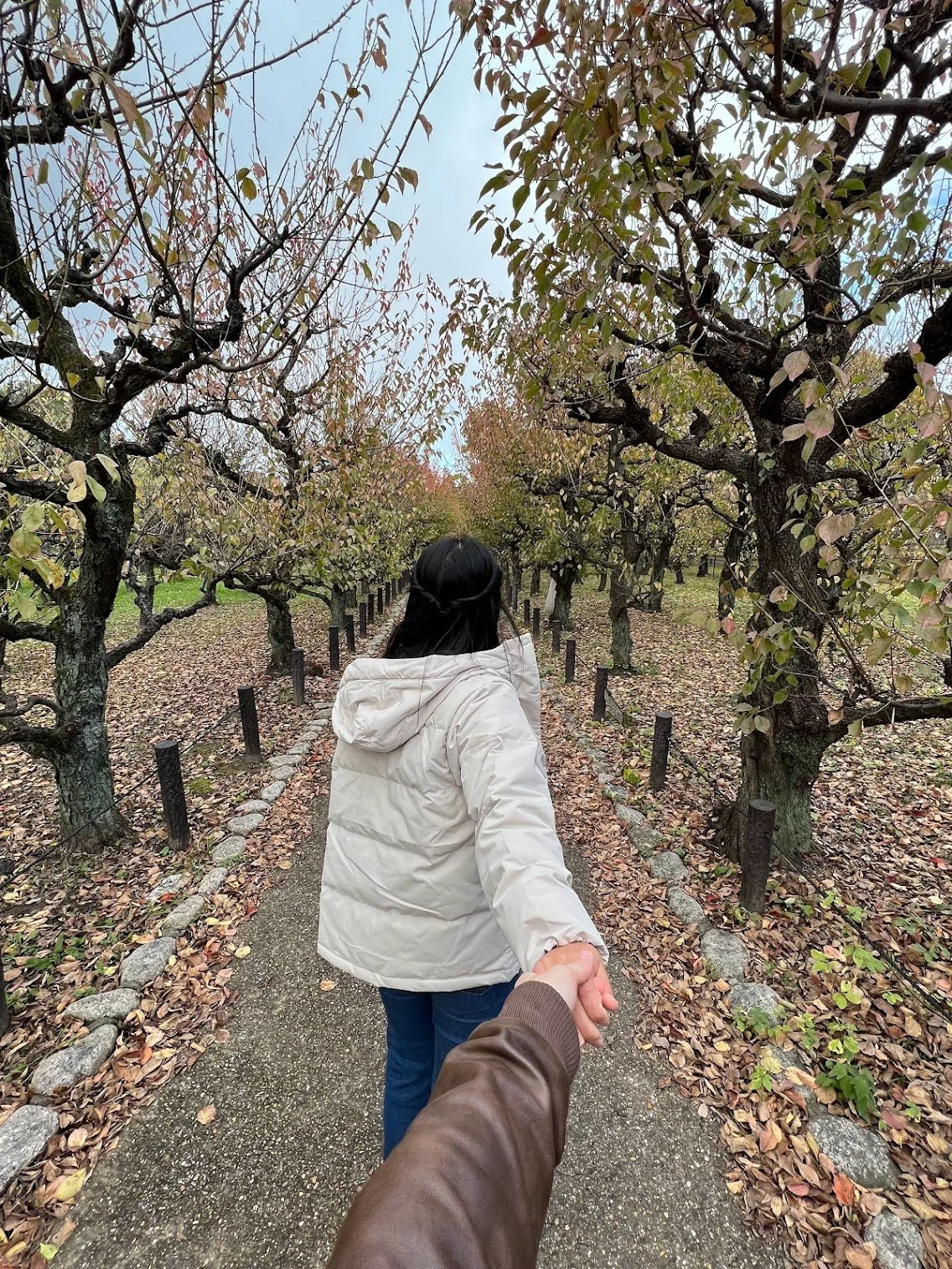 Osaka Castle Gardens