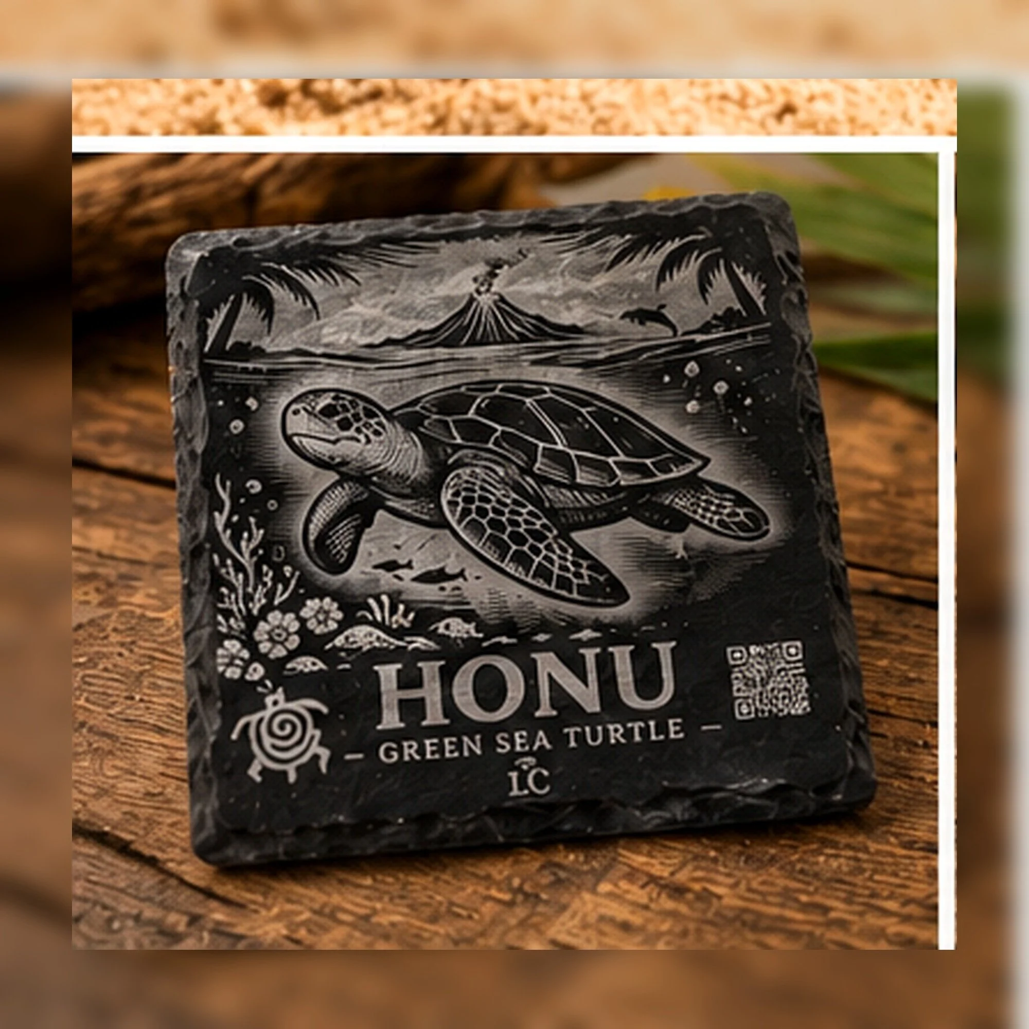 04_honu_closeup_square.jpg