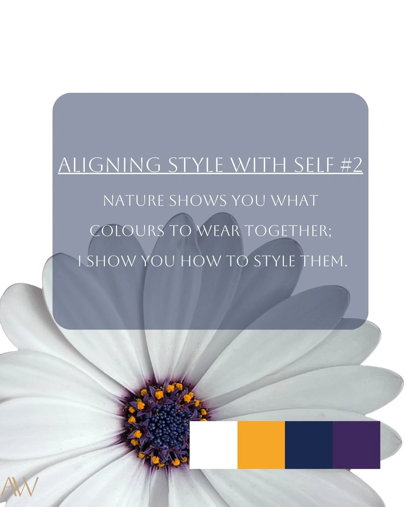 In nature we trust 

#fashion #ootd #sydneystylist #luxurystylist #alanawawstylist