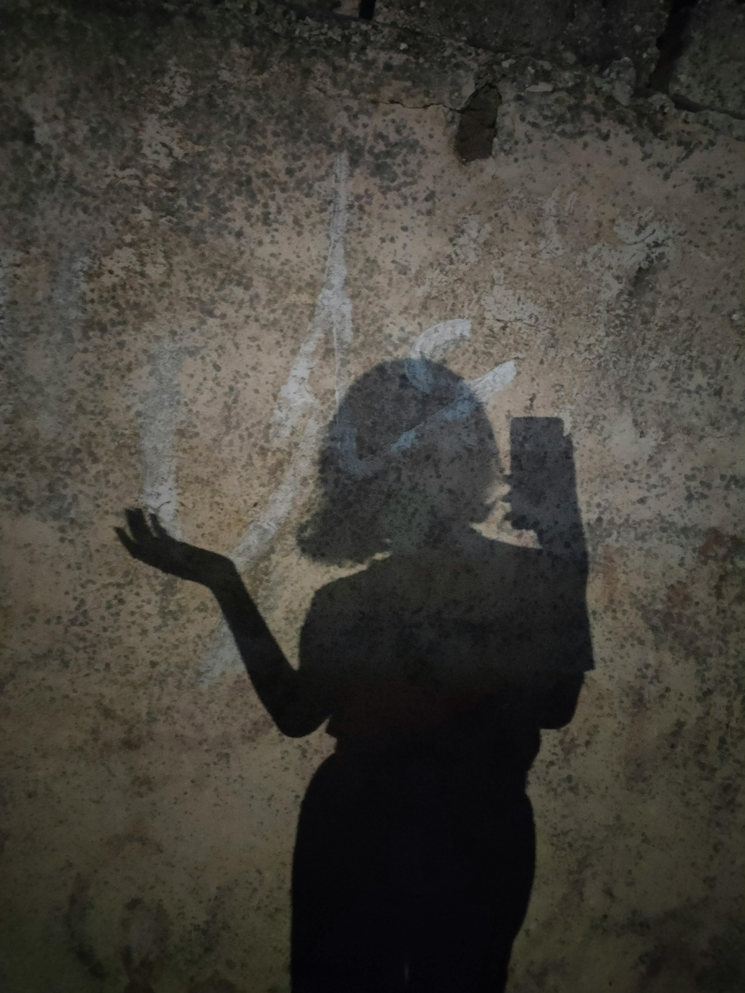 shadow of my past self