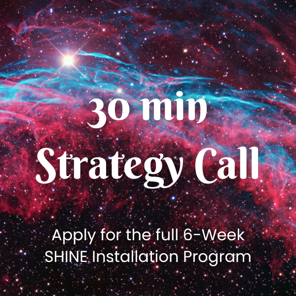 30-min SHINE Strategy Call