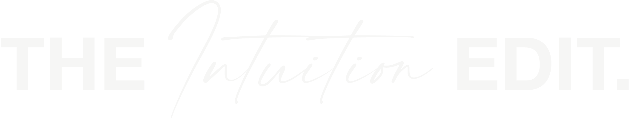Text logo reading 'The Invitation Edit' with styled text, dark brown and light brown colors.