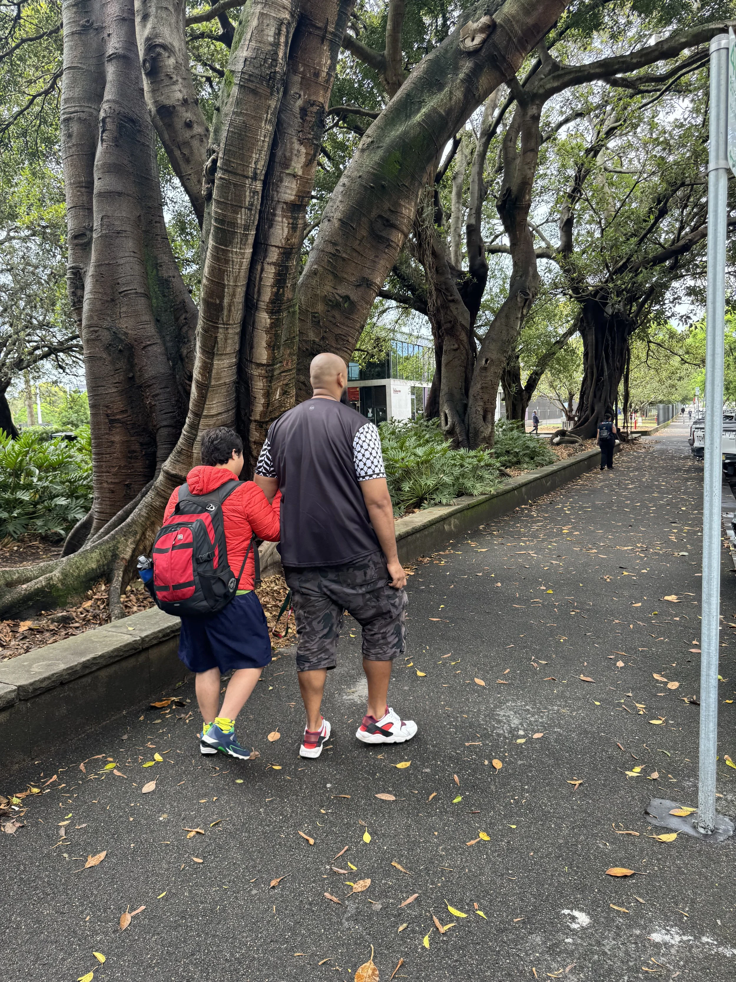 A man and a boy walking along a sidewalk near large trees and greenery, with other pedestrians in the background.